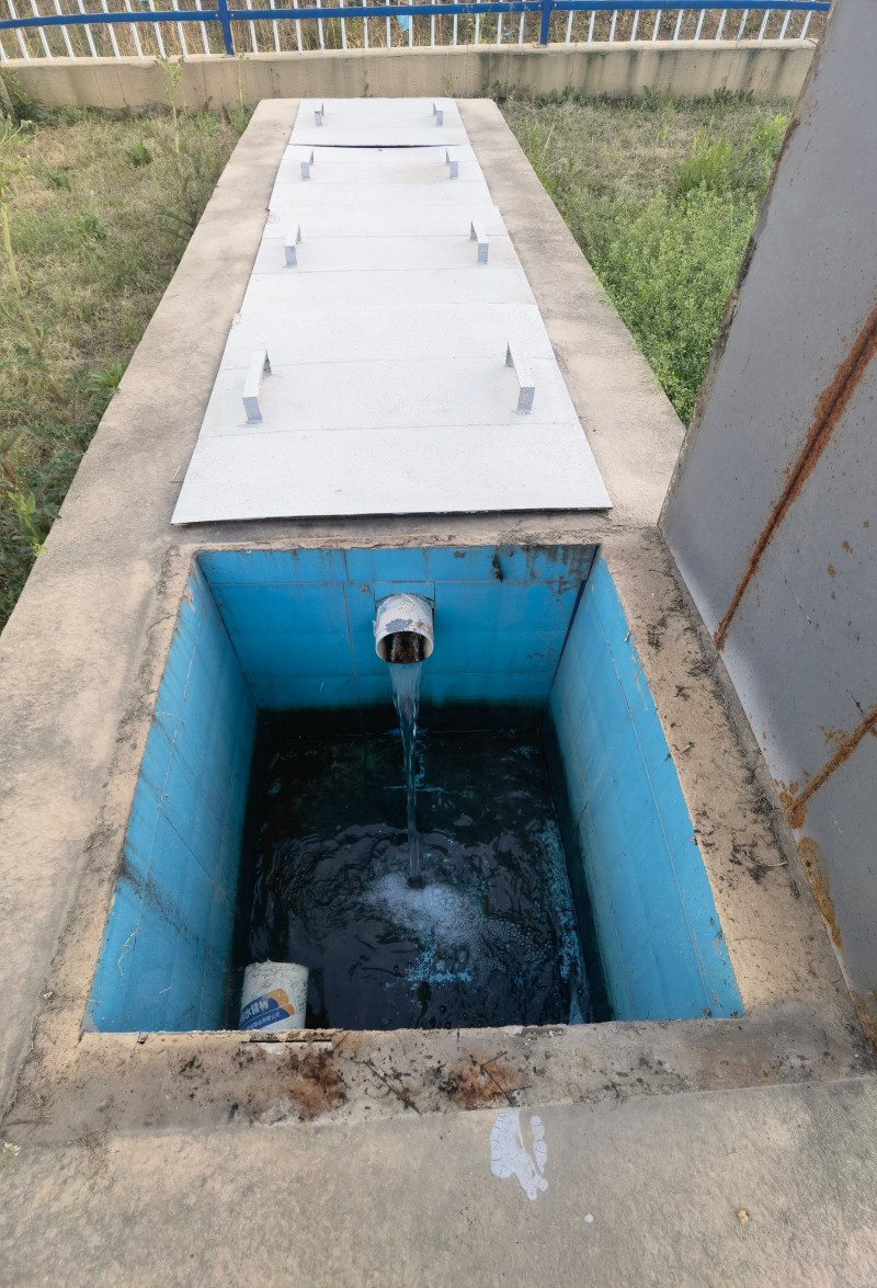 800 (4).jpg 800 (4).jpg